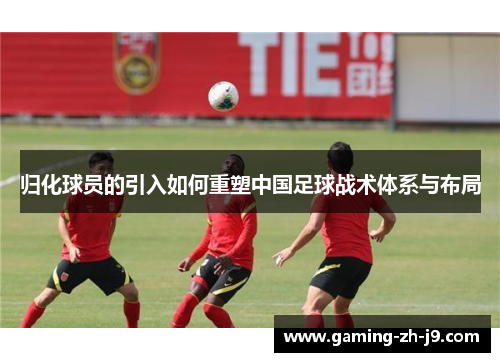 归化球员的引入如何重塑中国足球战术体系与布局